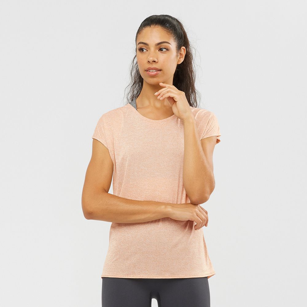 Camisetas Salomon Mujer Beige - Salomon Argentina XA SLEEVE TECH W,246905-CHM